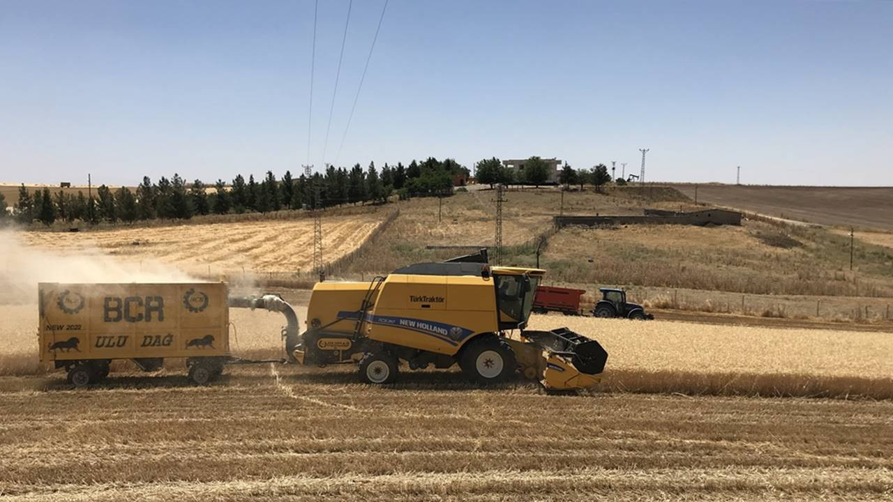 Trakya’da buğday hasadı sona erdi
